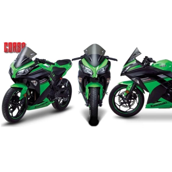 KIẾNG GIÓ ZEROGRAVITY KAWASAKI NINJA 250R/ 300R 2013-19