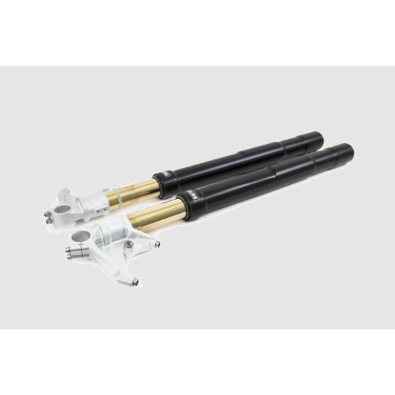 Phuộc trước Ohlins BMW R9T 2018 Màu Đen