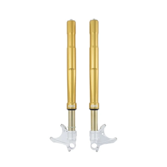 Phuộc trước Ohlins Yamaha R1/R6/MT-10