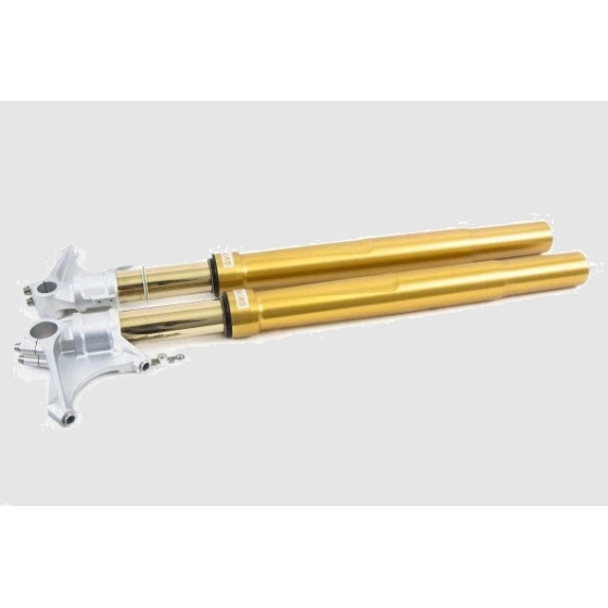 Phuộc trước Ohlins BMW R9T 2018 Màu Vàng